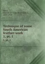 Technique of some South American feather-work. 1,.pt. 1 - Charles Williams Mead