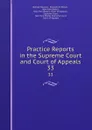 Practice Reports in the Supreme Court and Court of Appeals. 33 - Nathan Howard
