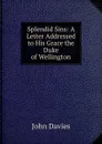 Splendid Sins: A Letter Addressed to His Grace the Duke of Wellington - John Davies