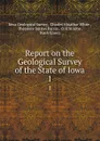 Report on the Geological Survey of the State of Iowa. 1 - Iowa Geological Survey