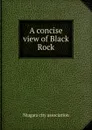 A concise view of Black Rock - Niagara city association