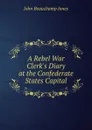 A Rebel War Clerk.s Diary at the Confederate States Capital - J.B. Jones