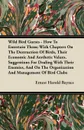 Wild Bird Guests - How To Entertain Them; With Chapters On The Destruction Of Birds, Their Economic And Aesthetic Values, Suggestions For Dealing With Their Enemies, And On The Organization And Management Of Bird Clubs - Ernest Harold Baynes