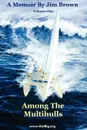 Among The Multihulls. Volume One - Jim Wesley Brown