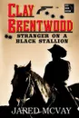 Stranger on a Black Stallion - Jared McVay