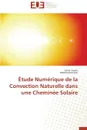 Etude numerique de la convection naturelle dans une cheminee solaire - Collectif