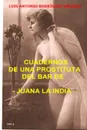 Cuadernos de una prostituta del bar de Juana la india - Luis Antonio Rodriguez Vázquez