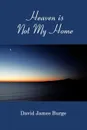 Heaven is Not My Home - David James Burge