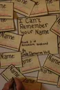 I Can.t Remember Your Name - Sally Hull