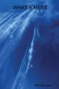 WHAT A MESS - Michelle Jean