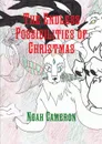 The Endless Possibilities of Christmas - Noah Cameron