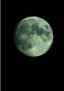 The Moon Thief - Helen Troy