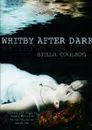 Whitby After Dark - Stella Coulson