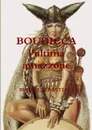 BOUDICCA l.ultima amazzone - BRUNO SEBASTIANI