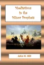 Meditations in the Minor Prophets - John Hill