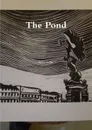 The Pond - Genie Collier