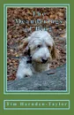 The Meanderings of Bing. A gentle, humorous look at life, snooker, whizzers and other great philosophical mysteries through the meanderings of Bing, a dog of rather large brain, and his minder Tim, as they potter through their days together. - Tim Harnden-Taylor