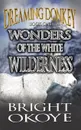 Wonders of the White Wilderness - Bright Okoye