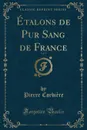 Etalons de Pur Sang de France, Vol. 1 (Classic Reprint) - Pierre Corbière