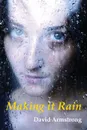 Making it Rain - David Armstrong