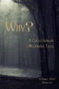 Why.. A Collection of Mysterious Tales: A Zimbell House Anthology - Zimbell House Publishing