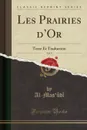 Les Prairies d.Or, Vol. 9. Texte Et Traduction (Classic Reprint) - Al-Mas'ûdî Al-Mas'ûdî