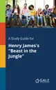 A Study Guide for Henry James.s 