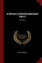 A History of Northumberland Part 3; Volume 3 - John Hodgson