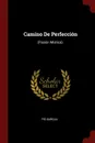 Camino De Perfeccion. (Pasion Mistica). - Pío Baroja