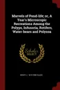 Marvels of Pond-life; or, A Year.s Microscopic Recreations Among the Polyps, Infusoria, Rotifers, Water-bears and Polyzoa - Henry J. 1818-1896 Slack