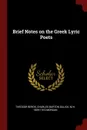 Brief Notes on the Greek Lyric Poets - Theodor Bergk, Charles Burton Gulick, M H. 1859-1910 Morgan