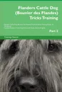 Flanders Cattle Dog (Bouvier des Flandes) Tricks Training Flanders Cattle Dog (Bouvier des Flandes) Tricks . Games Training Tracker . Workbook.  Includes. Flanders Cattle Dog Multi-Level Tricks, Games . Agility. Part 2 - Training Central