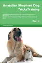 Anatolian Shepherd Dog Tricks Training Anatolian Shepherd Dog Tricks . Games Training Tracker . Workbook.  Includes. Anatolian Shepherd Dog Multi-Level Tricks, Games . Agility. Part 2 - Training Central
