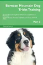 Bernese Mountain Dog Tricks Training Bernese Mountain Dog Tricks . Games Training Tracker . Workbook.  Includes. Bernese Mountain Dog Multi-Level Tricks, Games . Agility. Part 2 - Training Central