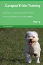 Cavapoo Tricks Training Cavapoo Tricks . Games Training Tracker . Workbook.  Includes. Cavapoo Multi-Level Tricks, Games . Agility. Part 2 - Training Central