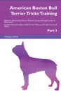 American Boston Bull Terrier Tricks Training American Boston Bull Terrier Tricks . Games Training Tracker . Workbook.  Includes. American Boston Bull Terrier Multi-Level Tricks, Games . Agility. Part 3 - Training Central