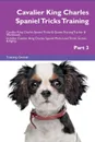 Cavalier King Charles Spaniel Tricks Training Cavalier King Charles Spaniel Tricks . Games Training Tracker . Workbook.  Includes. Cavalier King Charles Spaniel Multi-Level Tricks, Games . Agility. Part 3 - Training Central