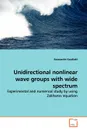 Unidirectional nonlinear wave groups with wide  spectrum - Konstantin Goulitski