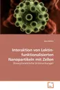 Interaktion von Lektin-funktionalisierten Nanopartikeln mit Zellen - Vera Kerleta