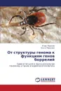 OT Struktury Genoma K Funktsiyam Genov Borreliy - Morozov Igor'