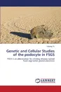 Genetic and Cellular Studies of the podocyte in FSGS - Yu Haiyang