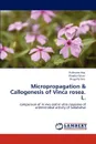 Micropropagation . Callogenesis of Vinca  rosea. L. - Rukhama Haq, Khadija Gilani, Shagufta Naz