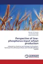 Perspective of Low-Phosphorus-Input Wheat Production - Soomro Muneer Ali, Shah Zia-Ul-Hassan, Shah Javaid Ahmed