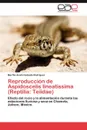 Reproduccion de Aspidoscelis lineatissima (Reptilia. Teiidae) - Güizado Rodríguez Martha Anahi