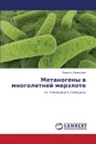 Metanogeny V Mnogoletney Merzlote - Krivushin Kirill