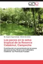 Los Peces En La Selva Tropical de La Reserva Calakmul, Campeche - Ma Eugenia Vega-Cendejas, Mirella Hern Ndez, Mirella Hernandez