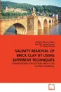 SALINITY REMOVAL OF BRICK CLAY BY USING DIFFERENT TECHNIQUES - Habibur Rahman Sobuz, Noor Md. Sadiqul Hasan, Dr. Ehsan Ahmed