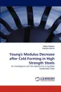 Young.s Modulus Decrease after Cold Forming in High Strength Steels - Abdul Haleem, Zeeshan Azmat