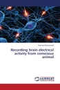 Recording Brain Electrical Activity from Conscious Animal - Mohammed Haitham