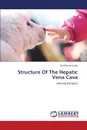 Structure of the Hepatic Vena Cava - Bundi Karau Paul